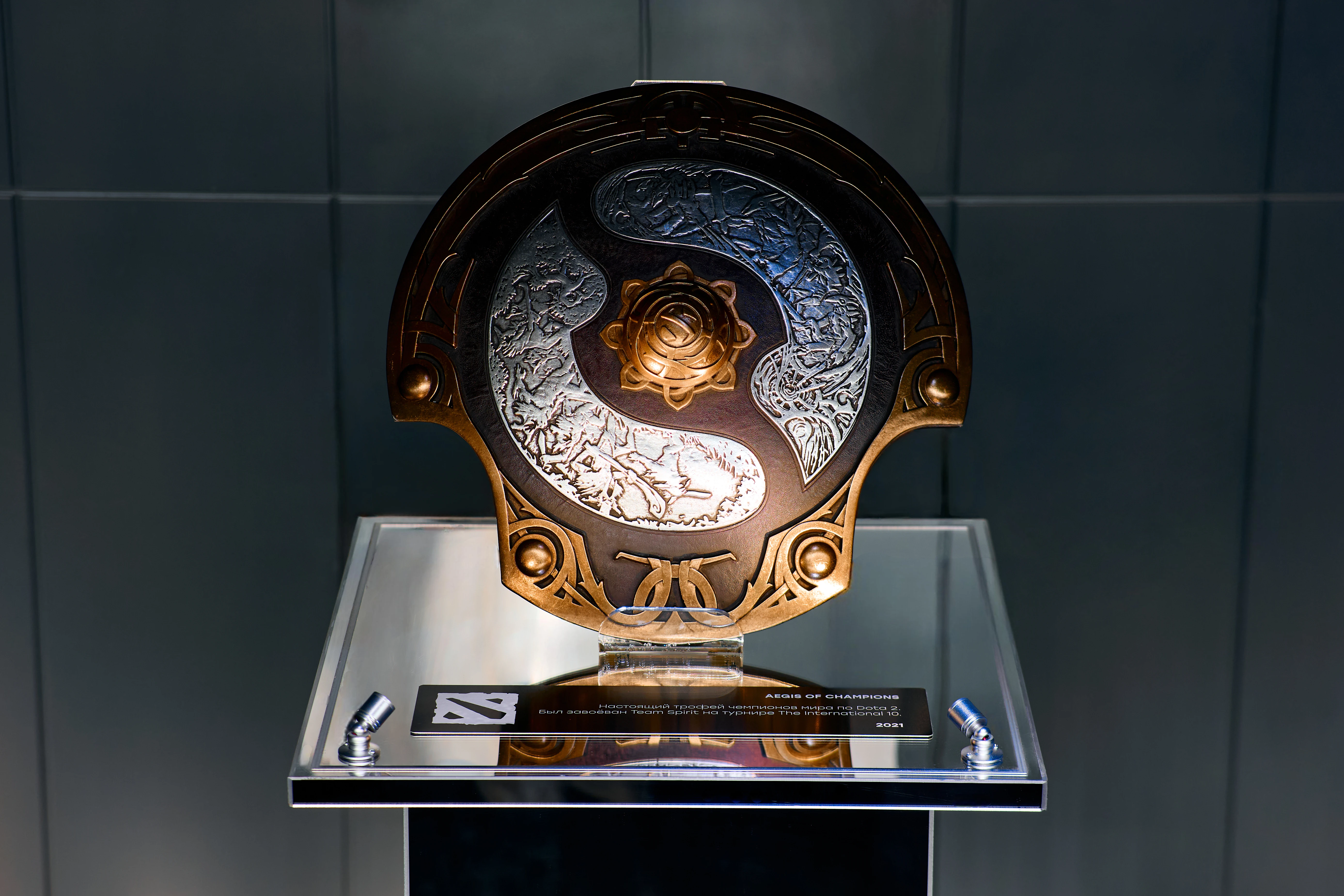 Aegis of Champions